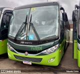 Turin Transportes 2466 na cidade de Ouro Branco, Minas Gerais, Brasil, por Eduardo Vieira. Número da foto: #12891348.