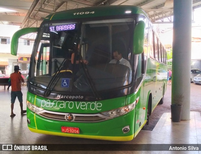 Pássaro Verde 11094 na cidade de Santa Bárbara, Minas Gerais, Brasil, por Antonio Silva. Número da foto: #12896032.