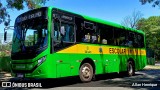 Transportes Capellini 12393 na cidade de Paulínia, São Paulo, Brasil, por Allan Henrique. Número da foto: #:id.