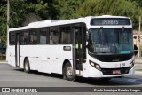 Bamonte Transportes 3 256 na cidade de Barra do Piraí, Rio de Janeiro, Brasil, por Paulo Henrique Pereira Borges. Número da foto: #12894401.