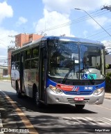 Vipol Transportes Rodoviários - TIPBUS - Transportes Intermunicipal 36.160 na cidade de Guarulhos, São Paulo, Brasil, por Felipe Mariz. Número da foto: #12893623.