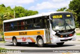 TAP Turismo e Fretamento 098 na cidade de Barra do Piraí, Rio de Janeiro, Brasil, por Paulo Henrique Pereira Borges. Número da foto: #12894512.