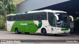 Pássaro Verde 29020 na cidade de Ponte Nova, Minas Gerais, Brasil, por Vinicius Silva. Número da foto: #12895402.