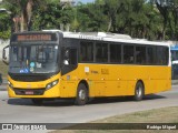 Real Auto Ônibus C41380 na cidade de Rio de Janeiro, Rio de Janeiro, Brasil, por Rodrigo Miguel. Número da foto: #:id.