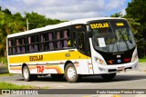 TAP Turismo e Fretamento 096 na cidade de Barra do Piraí, Rio de Janeiro, Brasil, por Paulo Henrique Pereira Borges. Número da foto: #12894495.