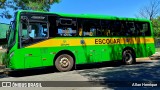 Transportes Capellini 12393 na cidade de Paulínia, São Paulo, Brasil, por Allan Henrique. Número da foto: #12894142.