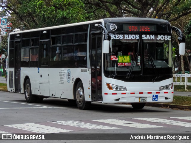 Magasoso 267 na cidade de San José, San José, Costa Rica, por Andrés Martínez Rodríguez. Número da foto: #12852649.