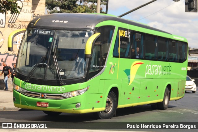 Pássaro Verde 1049 na cidade de Belo Horizonte, Minas Gerais, Brasil, por Paulo Henrique Pereira Borges. Número da foto: #12852841.