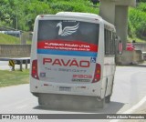 Turismo Pavão 21203 na cidade de Mairinque, São Paulo, Brasil, por Flavio Alberto Fernandes. Número da foto: #:id.