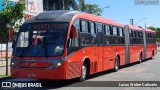 Transporte Coletivo Glória BE702 na cidade de Curitiba, Paraná, Brasil, por Lucas Weber Calizario. Número da foto: #12852754.