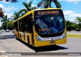 Viação Pioneira 234028 na cidade de Brasília, Distrito Federal, Brasil, por Cristhian Davi. Número da foto: #12853680.