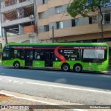 Himalaia Transportes > Ambiental Transportes Urbanos 4 1100 na cidade de São Paulo, São Paulo, Brasil, por Michel Nowacki. Número da foto: #12853425.