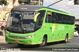 Pássaro Verde 1049 na cidade de Belo Horizonte, Minas Gerais, Brasil, por Paulo Henrique Pereira Borges. Número da foto: #12852841.