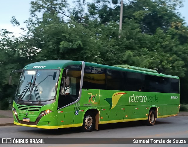 Pássaro Verde 20177 na cidade de Ponte Nova, Minas Gerais, Brasil, por Samuel Tomás de Souza. Número da foto: #12896526.