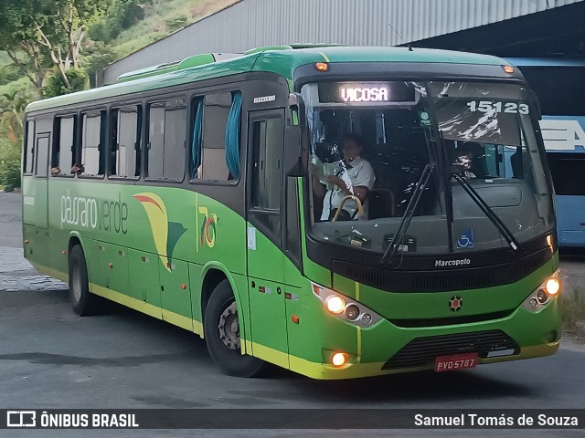 Pássaro Verde 15123 na cidade de Ponte Nova, Minas Gerais, Brasil, por Samuel Tomás de Souza. Número da foto: #12896527.