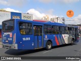 Transportes Capellini 19.005 na cidade de Americana, São Paulo, Brasil, por Wellington Lima. Número da foto: #12896662.