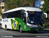 Real Brasil Turismo 290 na cidade de Aparecida, São Paulo, Brasil, por Vicente de Paulo Alves. Número da foto: #12896586.