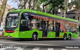 Himalaia Transportes > Ambiental Transportes Urbanos 4 1101 na cidade de São Paulo, São Paulo, Brasil, por Fernando Júnior. Número da foto: #:id.