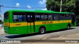 Transportes Capellini 32865 na cidade de Paulínia, São Paulo, Brasil, por Allan Henrique. Número da foto: #:id.