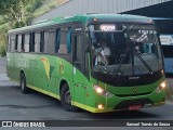 Pássaro Verde 15123 na cidade de Ponte Nova, Minas Gerais, Brasil, por Samuel Tomás de Souza. Número da foto: #12896527.
