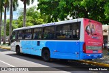 Viação Real - Varginha 7250 na cidade de Varginha, Minas Gerais, Brasil, por Eduardo Ribeiro. Número da foto: #12896690.