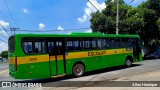 Transportes Capellini 3256 na cidade de Paulínia, São Paulo, Brasil, por Allan Henrique. Número da foto: #12897467.