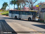 COOTEGO - Cooperativa de Transportes do Estado de Goiás 40160 na cidade de Senador Canedo, Goiás, Brasil, por Victor Hugo Araújo Dos Santos. Número da foto: #:id.