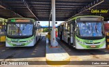 HP Transportes Coletivos 20336 na cidade de Goiânia, Goiás, Brasil, por Carlos Júnior. Número da foto: #12899056.
