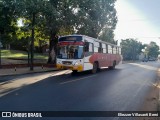 Lince 66 na cidade de Ñemby, Central, Paraguai, por Eliezzer Villasanti Berni. Número da foto: #12898768.