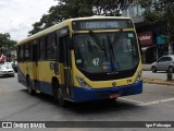 Trancid - Transporte Cidade de Divinópolis 219 na cidade de Divinópolis, Minas Gerais, Brasil, por Igor Policarpo. Número da foto: #12899831.