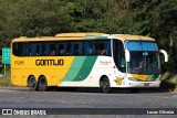 Empresa Gontijo de Transportes 17295 na cidade de Manhuaçu, Minas Gerais, Brasil, por Lucas Oliveira. Número da foto: #12899357.