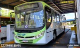 HP Transportes Coletivos 20360 na cidade de Goiânia, Goiás, Brasil, por Carlos Júnior. Número da foto: #12899057.