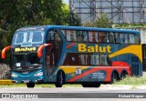 Balut 389 na cidade de Buenos Aires, Argentina, por Richard Wagner. Número da foto: #12899642.