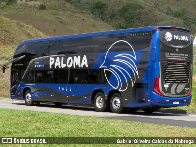 Paloma Turismo 2025 na cidade de Aparecida, São Paulo, Brasil, por Gabriel Oliveira Caldas da Nobrega. Número da foto: #12901990.