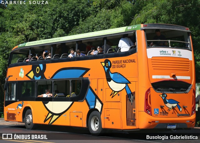 Parque Nacional do Iguaçu GRALHA-PICAÇA na cidade de Foz do Iguaçu, Paraná, Brasil, por Busologia Gabrielística. Número da foto: #12901922.