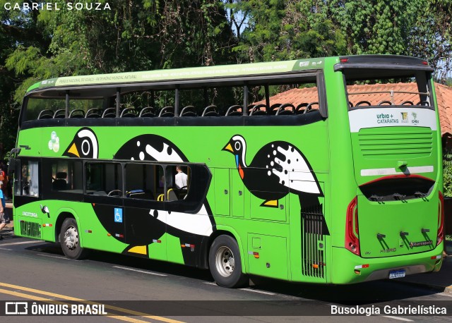 Parque Nacional do Iguaçu JACUTINGA na cidade de Foz do Iguaçu, Paraná, Brasil, por Busologia Gabrielística. Número da foto: #12901855.