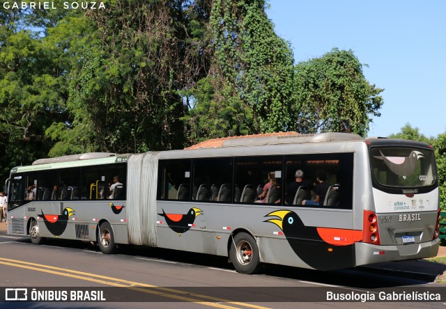 Parque Nacional do Iguaçu GUAXO na cidade de Foz do Iguaçu, Paraná, Brasil, por Busologia Gabrielística. Número da foto: #12901908.