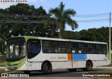 Viação Reunidas 30029 na cidade de Goiânia, Goiás, Brasil, por Busologia Gabrielística. Número da foto: #12901687.