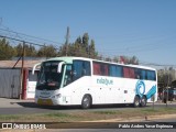 Buses Nilahue E88 na cidade de Santa Cruz, Colchagua, Libertador General Bernardo O'Higgins, Chile, por Pablo Andres Yavar Espinoza. Número da foto: #12902136.