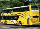 Parque Nacional do Iguaçu PUMA na cidade de Foz do Iguaçu, Paraná, Brasil, por Busologia Gabrielística. Número da foto: #12901889.