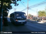 Andibus 10 na cidade de Chimbarongo, Colchagua, Libertador General Bernardo O'Higgins, Chile, por Pablo Andres Yavar Espinoza. Número da foto: #12902199.