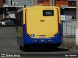 Trancid - Transporte Cidade de Divinópolis 263 na cidade de Divinópolis, Minas Gerais, Brasil, por Igor Policarpo. Número da foto: #12901140.