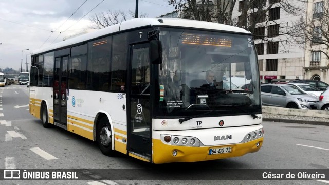 SMTUC - Serviços Municipalizados de Transportes Urbanos de Coimbra 296 na cidade de Coimbra, Coimbra, Portugal, por César de Oliveira. Número da foto: #12903509.