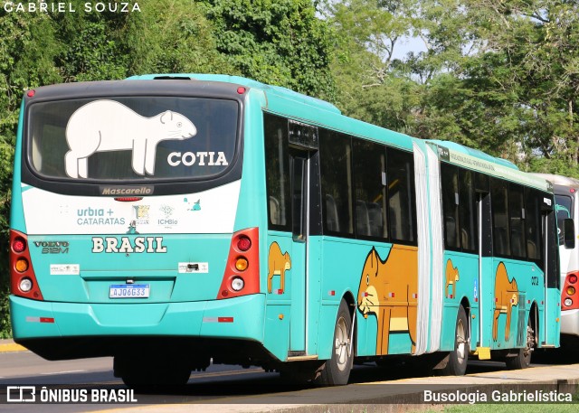 Parque Nacional do Iguaçu COTIA na cidade de Foz do Iguaçu, Paraná, Brasil, por Busologia Gabrielística. Número da foto: #12903965.