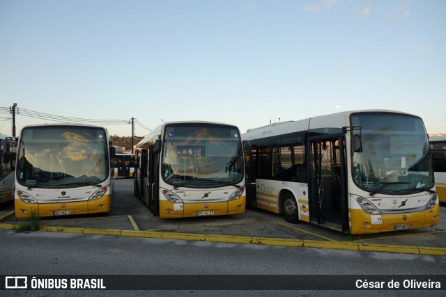 SMTUC - Serviços Municipalizados de Transportes Urbanos de Coimbra 306 na cidade de Coimbra, Coimbra, Portugal, por César de Oliveira. Número da foto: #12903491.