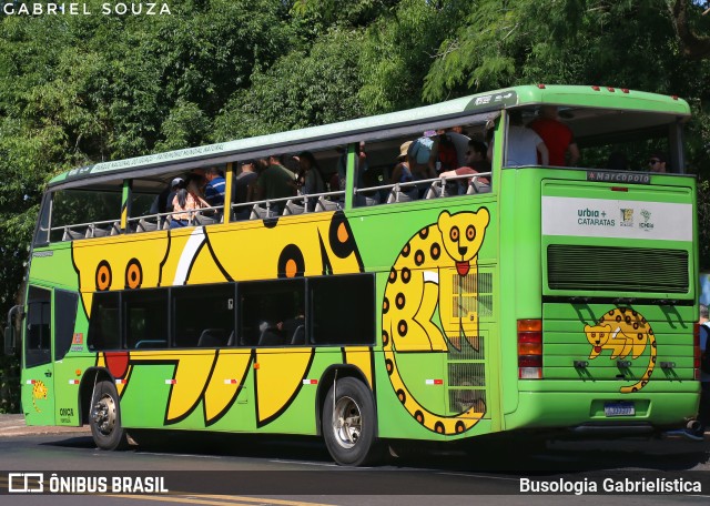 Parque Nacional do Iguaçu ONÇA PINTADA na cidade de Foz do Iguaçu, Paraná, Brasil, por Busologia Gabrielística. Número da foto: #12904143.