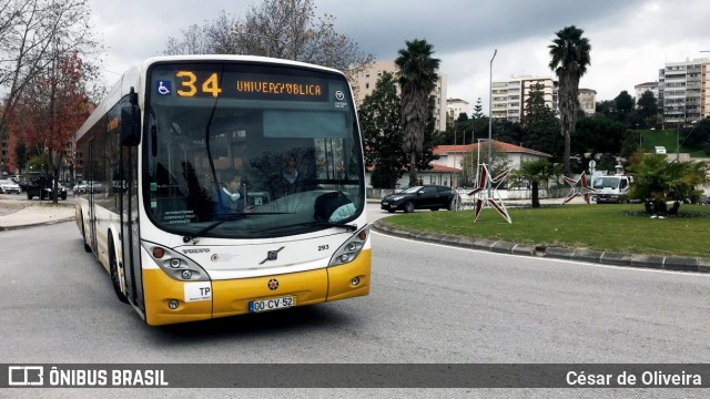 SMTUC - Serviços Municipalizados de Transportes Urbanos de Coimbra 293 na cidade de Coimbra, Coimbra, Portugal, por César de Oliveira. Número da foto: #12903817.