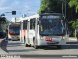 Borborema Imperial Transportes 434 na cidade de Recife, Pernambuco, Brasil, por Lohanny Medeiros. Número da foto: #:id.