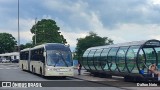 Araucária Transportes Coletivos 19M76 na cidade de Curitiba, Paraná, Brasil, por Dalton Neto. Número da foto: #12904771.