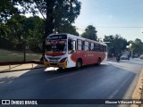 Lince 39 na cidade de Ñemby, Central, Paraguai, por Eliezzer Villasanti Berni. Número da foto: #12902468.